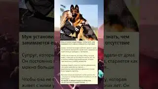 Муж установил видеокамеру, чтобы знать, чем занимаются его жена и собака в его отсутствие