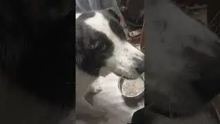 Отмечаем старый НГ)