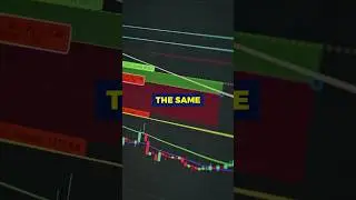 Bullish VS Bearish market