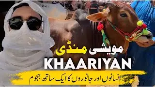 Maweshi Mandi Kharian Rates Eid Ul Adha (Bakra Eid) 2024 |  Usama Butt Vlogs