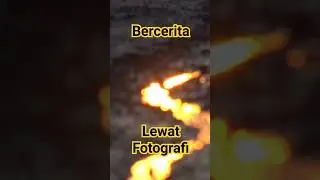 Bercerita lewat Fotografi satwa liar #birds #wildlife #film #hunting #wildlifedocumentary
