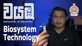 Wayamba  University Biosystems Technology