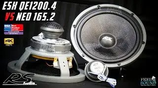 RS Audio NEO 165.2 vs ESX QE1200.4 Active 4K (FNS)