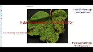 Cotton Leaf Disease Identification Using Image Processing Python Project With Source Code