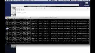 Nginx and Docker