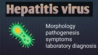 Hepatitis Virus  (Morphology , pathogenesis , symptoms , Laboratory Diagnosis)