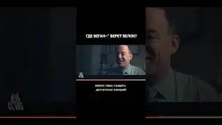Где веган берет белок?