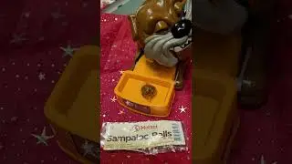 Sampaloc Balls from Merzi for maddog #ASMR #ANGRY dog #maddog #shorts (4)