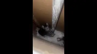 Down in the hole 💀