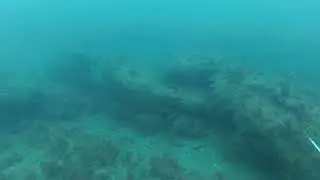 Поиск горбыля. Подводная охота.