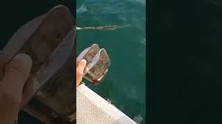починились.. вышли на яхте из Марселя.Франция. Macgregor26.