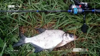 Mormyshing on the Dubna River in early June. White Fish Day