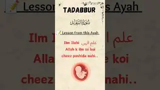 Surah Ra'ad Ayah 8 |  #quran #dua #surah #qurantranslation #quranverses #urdu #quranrecitation