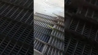 Ремонт клавіш комбайна