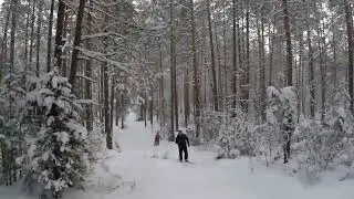 На лыжах