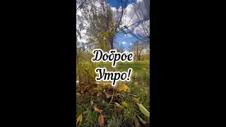 Доброе утро! Юлия Савичева, Если в сердце живет любовь 