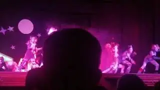 Entre tangos y gatos!! Baile jelical!