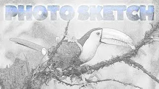 Photo Sketch Effect in Adobe Photoshop CC 2019 ( Tutorial )