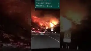 Горит Калифорния