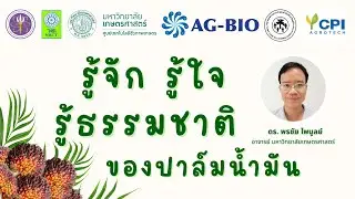 รู้จัก รู้ใจ รู้ธรรมชาติของปาล์มน้ำมัน