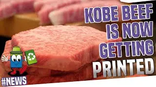 Kobe Beef Can Now Be 3D Printed