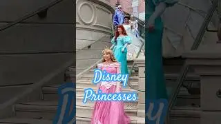 8 Magical Disney Princess Moment!