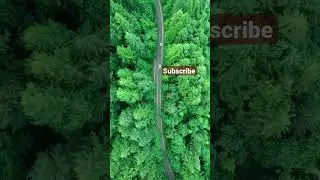 nature lovers #short #shortvideo #shortsvideo #shortsvideo #shortsvideo #short #nature