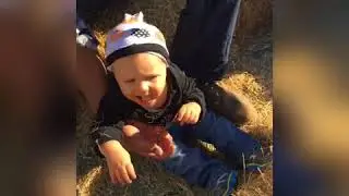 Pumpkin patch 2017 Snapchat videos