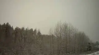 Охота на косулю