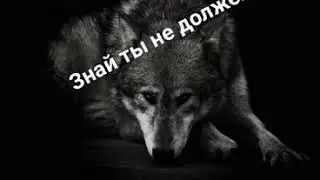 26 ноября 2019 г.