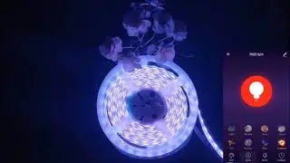 WiFi RGB RGBW LED Controller Alexa & Google Assistant Compatible