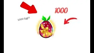 Opening fruit eggs!!!