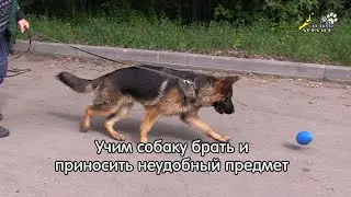 Тригер 67 и Босерон, сложный предмет для апортировки
