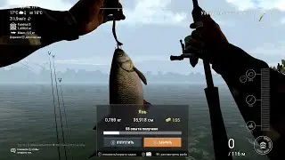 Рыбалка, игра Fishing Planet (язь попадался отличный, ловил на три фидера и спиннинг)