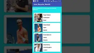 android json parsing and display with recyclerview using retrofit
