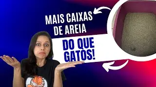 Mais caixas de areia do que gatos? Por quê?