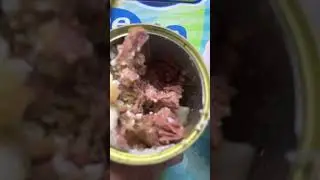Обзор тушенки