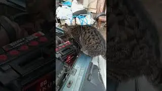 Серый автослесарь...