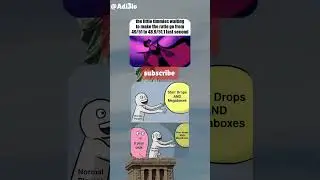 Starr drops or boxes? Starr drop and boxes?