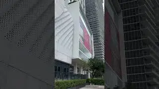 Miami city & cyber trucks. The future is insane
