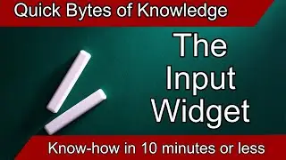 Quick Bites of Knowledge - The Input/Text Control