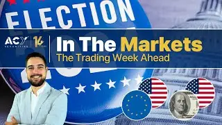 Revealing Market Insights: U.S. Elections, FOMC, and Disastrous NFP Data!