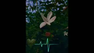 #newstatus