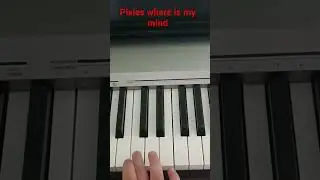 pixies where is my mind?