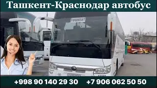 Ташкент Краснодар автобус, Краснодар Ташкент автобус, Ташкент Ростов автобус