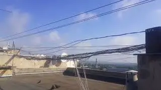 Голуби И.Т.15.06.23.