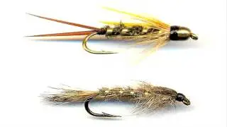 Carp Fishing Tips - Learn Everything About Carp Fishing Easy And Simple Way
