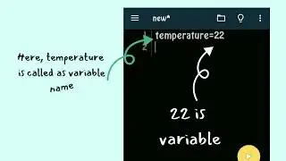 what are variables and variable names?