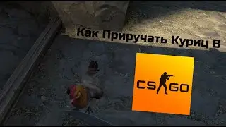 Как Приручить Куриц В Кс Го Counter-Strike Global Offensive