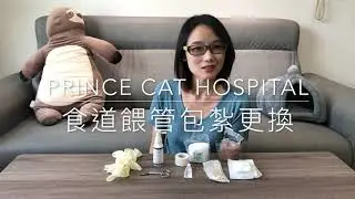 PRINCE CAT HOSPITAL - 食道餵管包紮更換